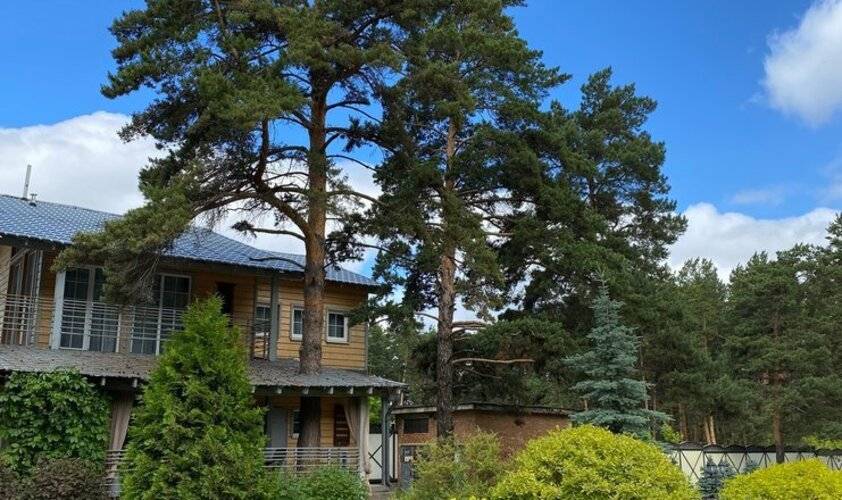 Отель Крутики