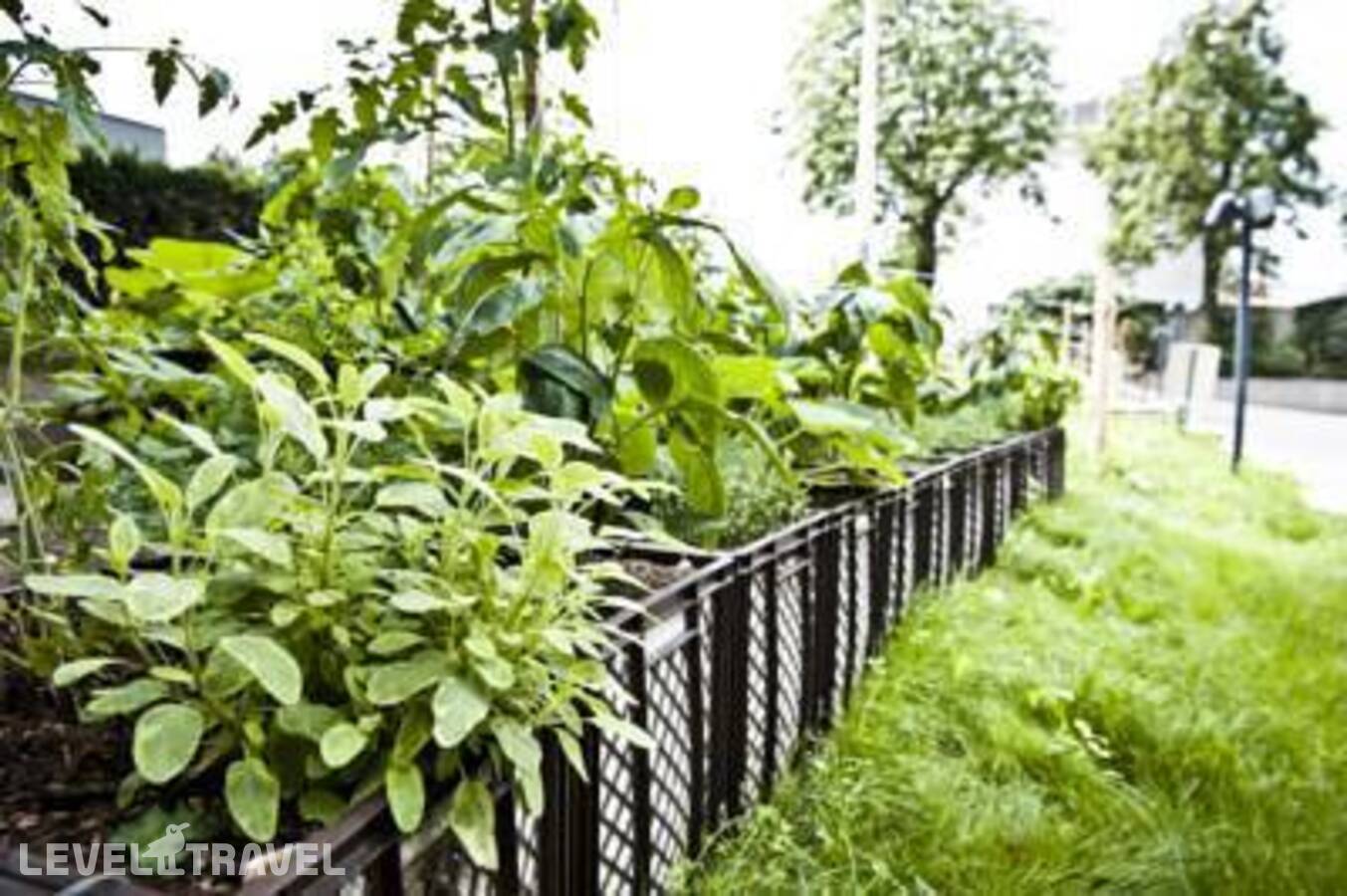 фотографии отеля Daniel Hotel в Австрия(район Ландштрассе) - фото №40