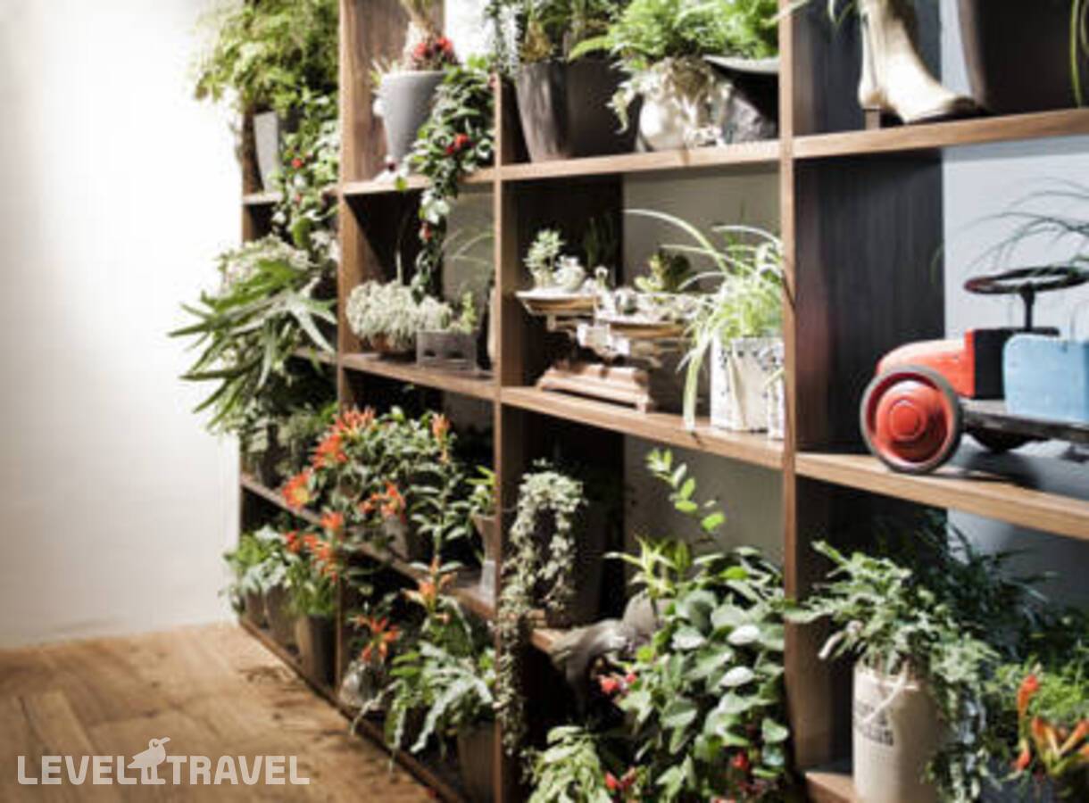 фотографии отеля Daniel Hotel в Австрия(район Ландштрассе) - фото №23