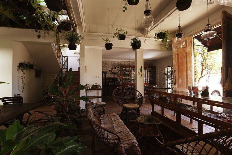 Brown Feather By Newwman Hotels