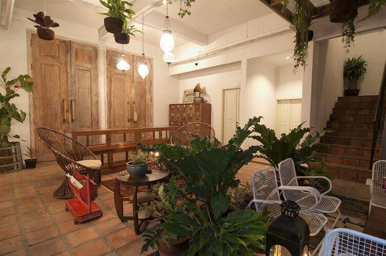 Brown Feather By Newwman Hotels