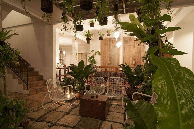 Brown Feather By Newwman Hotels