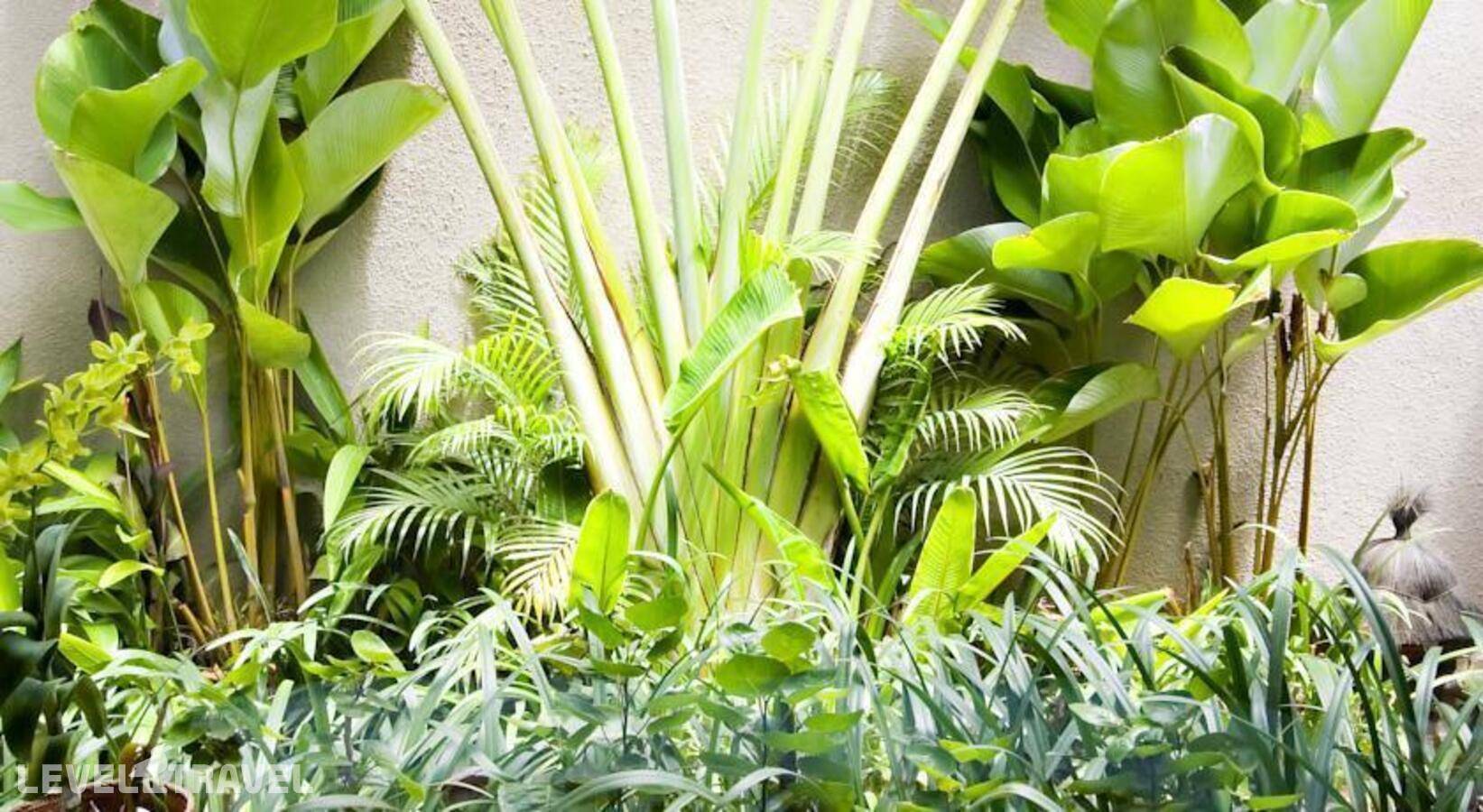 фотографии отеля Disini Villa в Индонезия(Санур) - фото №19