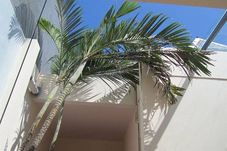 Bali Ginger Suites