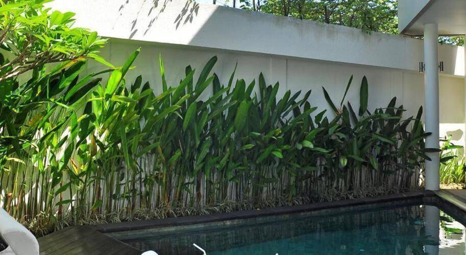 Villa La Sirena 4