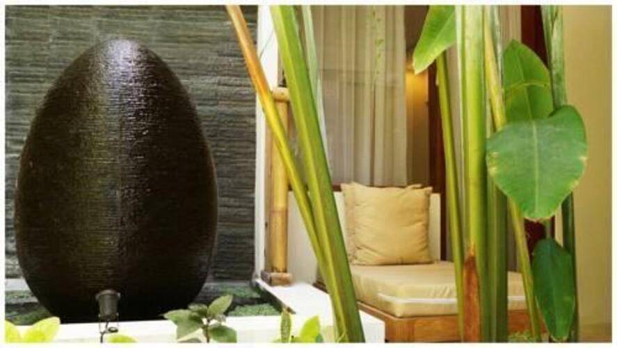 Arana Suite