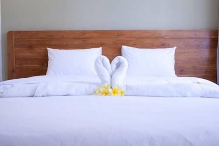 Arana Suite