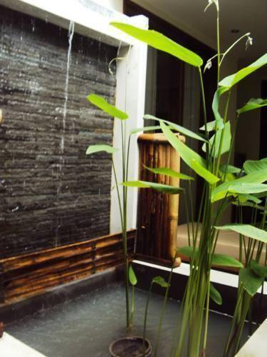 Arana Suite