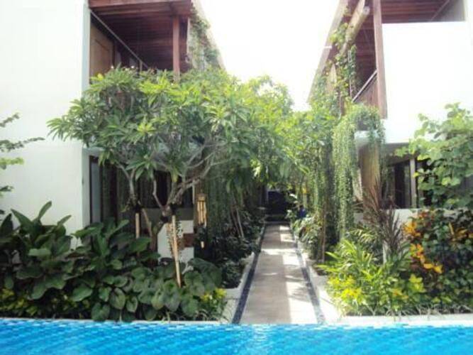 Arana Suite