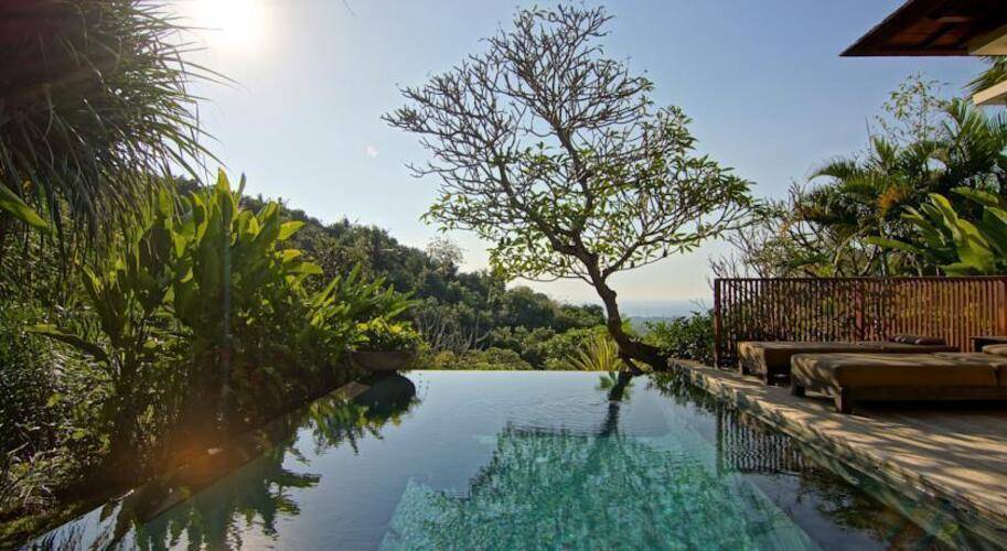 The Damai