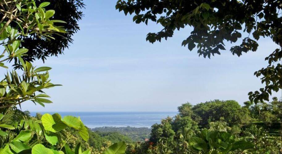The Damai
