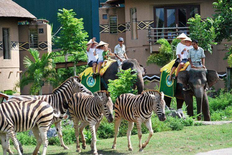 Mara River Safari Lodge At Bali Safari & Marine Park