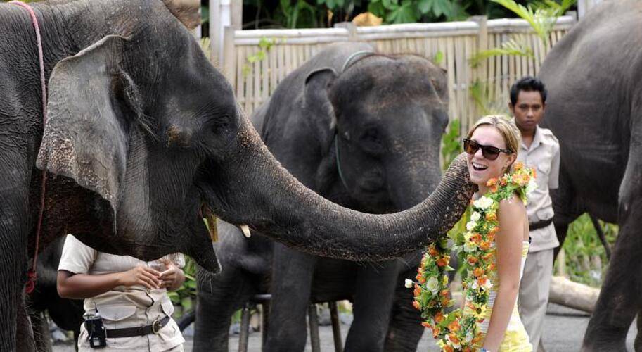 Mara River Safari Lodge At Bali Safari & Marine Park