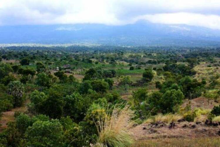 Blue Hill Tulamben