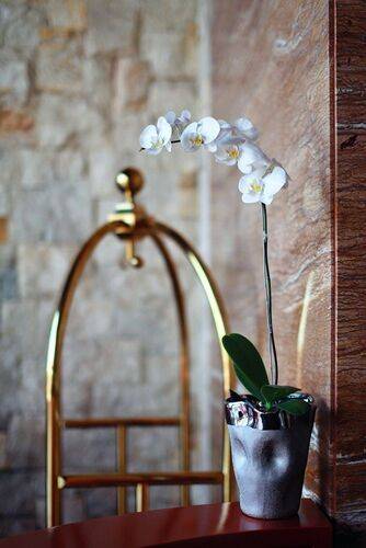 Mega Boutique Hotel & Spa Bali