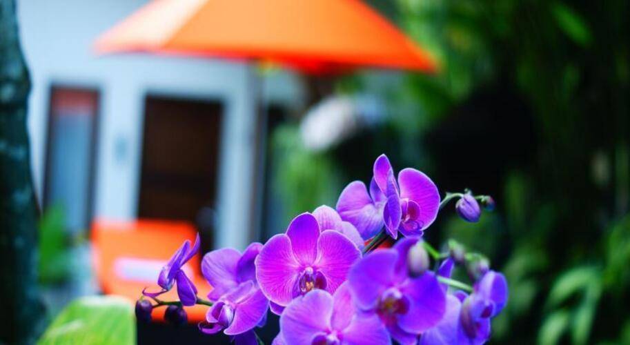 The Pavilion Hotel Kuta