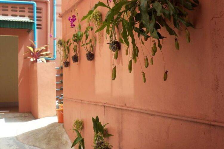 Ds Corner & Guesthouse