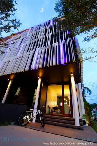 Blu Monkey Hostel