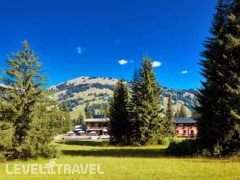 Фотография Saanewald Lodge