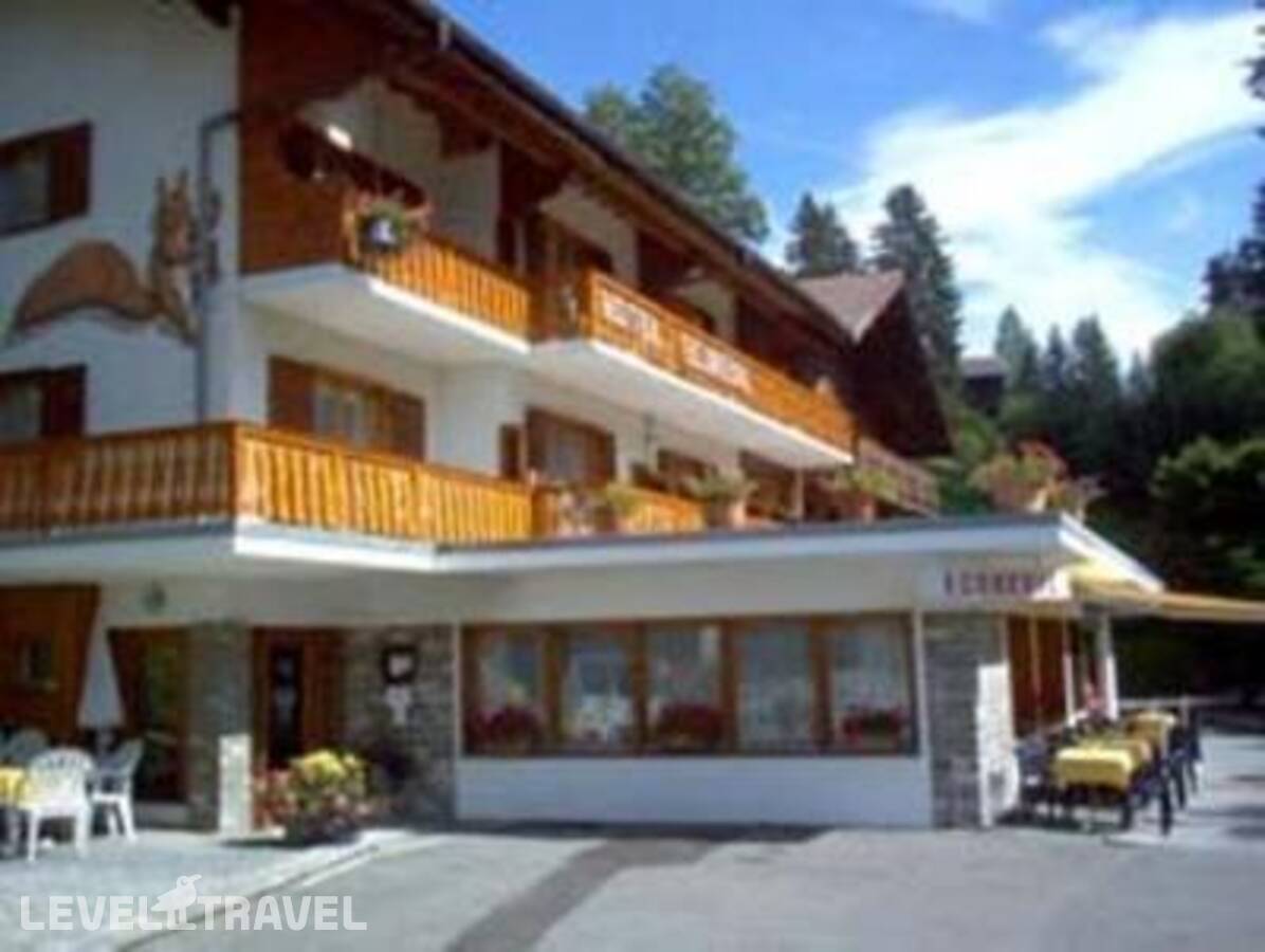 фотографии отеля Ecureuil Hotel в Швейцария(Виллар-сюр-Оллон) - фото №11