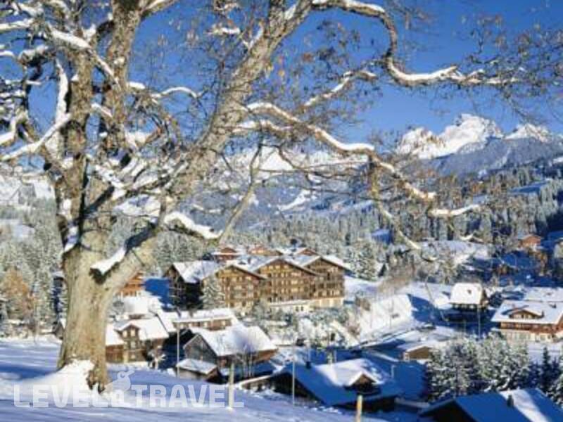 Фотография Golfhotel Les Hauts De Gstaad