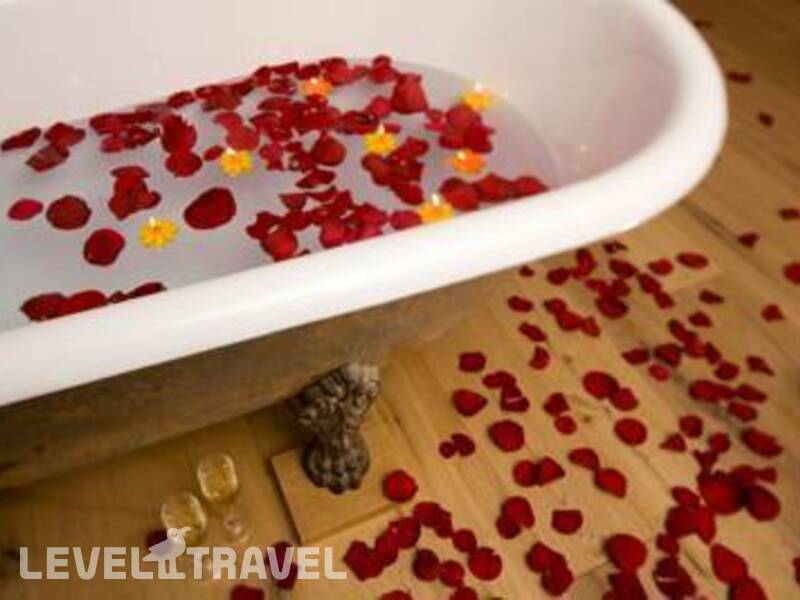 Фотография Firefly Hotel