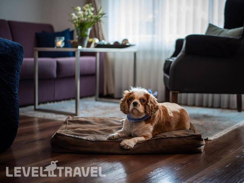 Фотография Mirabeau Hotel