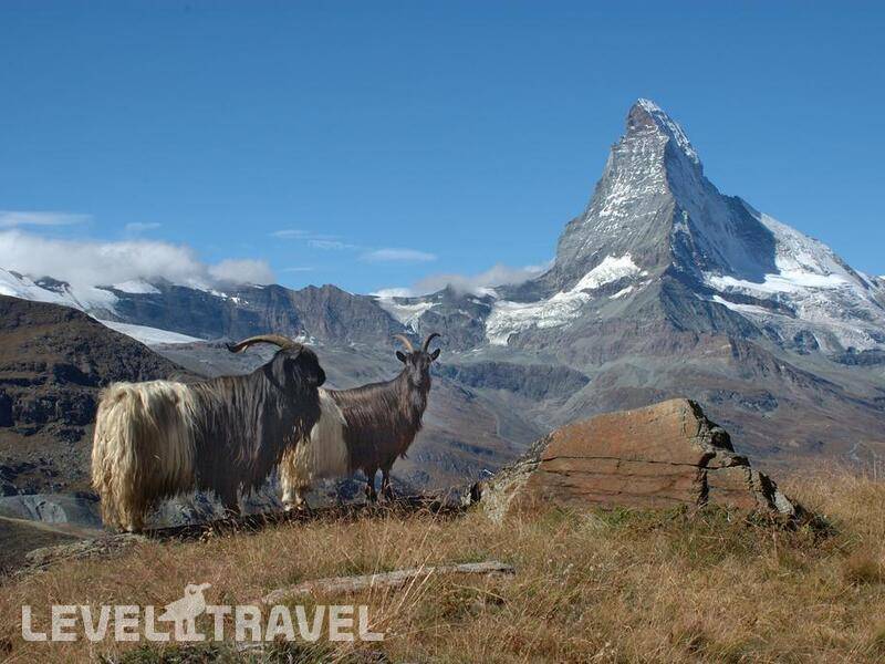 Фотография Sunstar Style Hotel Zermatt