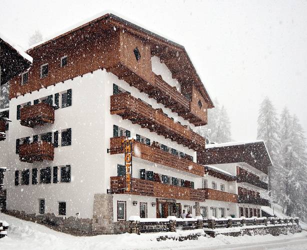 Des Alpes Hotel 3★, Кортина-д'Ампеццо