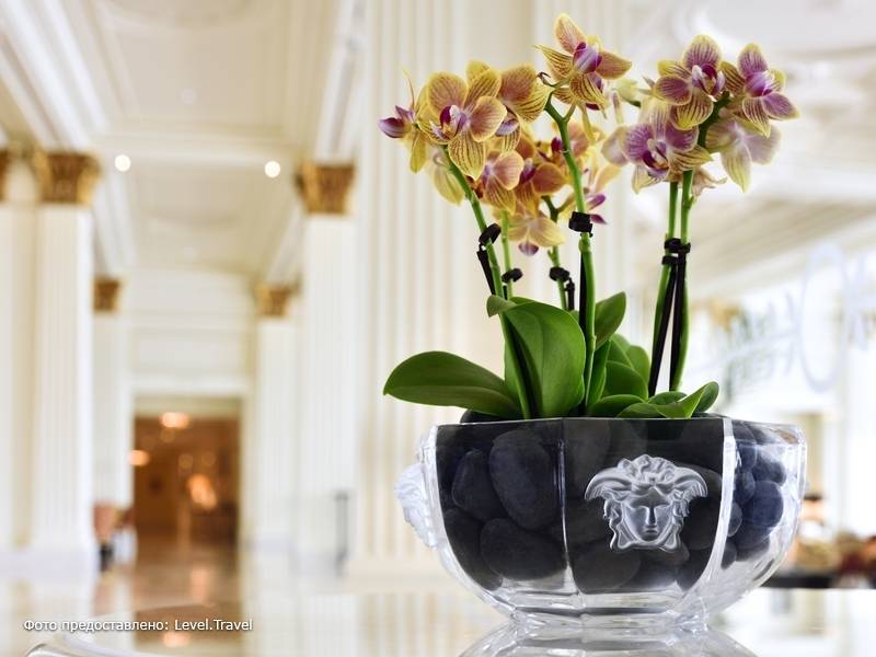 Фотография Palazzo Versace Hotel