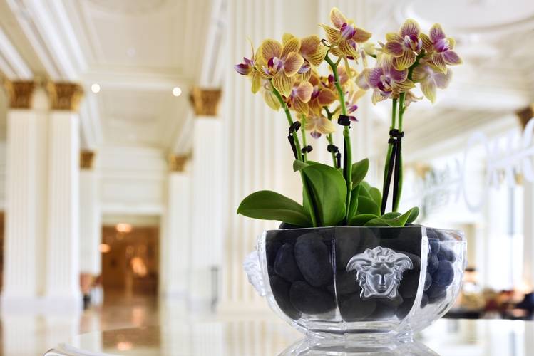 Palazzo Versace Hotel