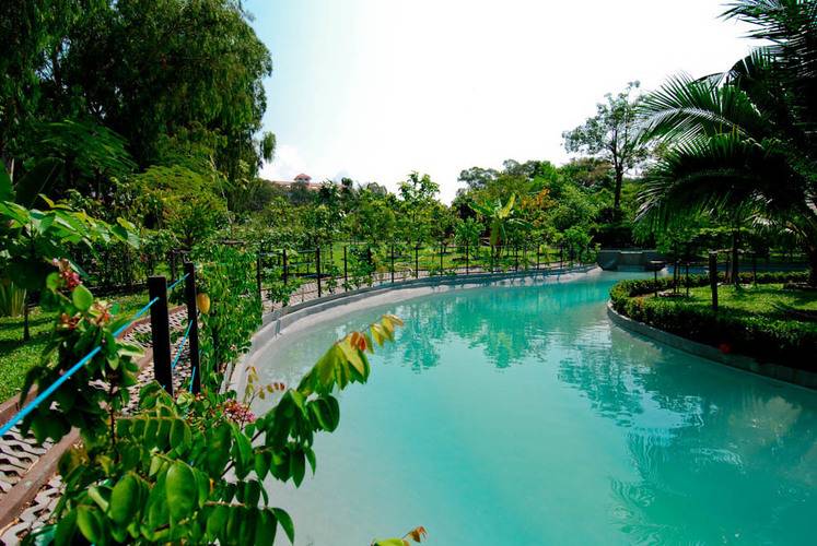 Birds & Bees Resort