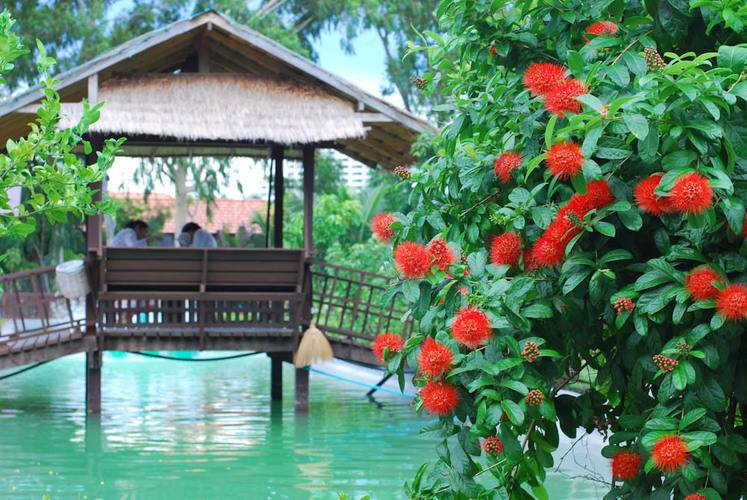 Birds & Bees Resort