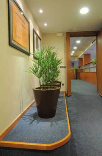 Best Western Premier Hotel Dante — фото 23