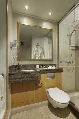 Central Athens Hotel