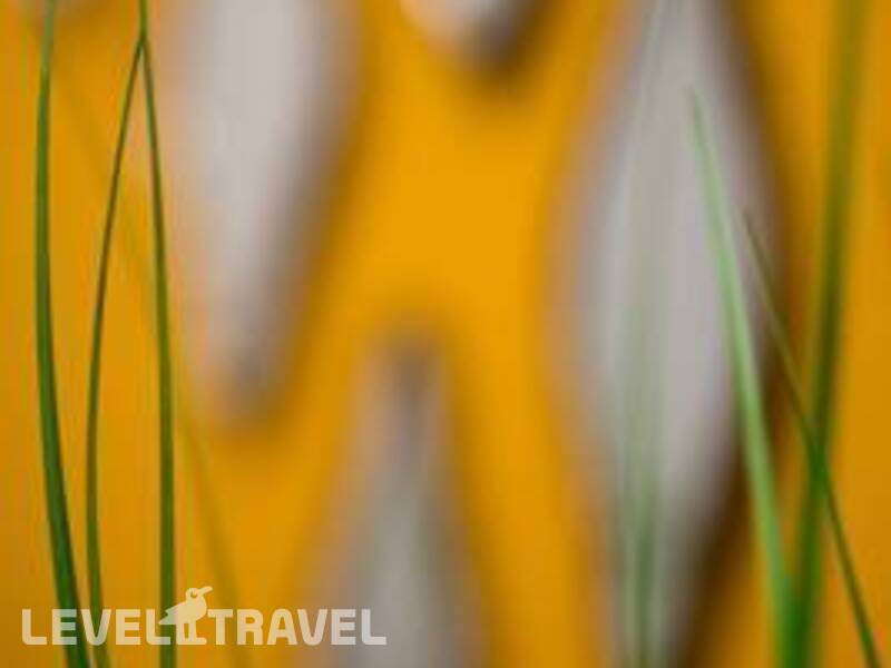 Фотография Sun City Hotel Фотография Sun City Hotel