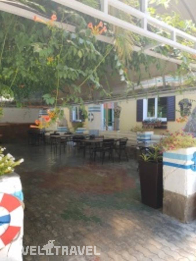 фотографии отеля Дом На Аллейной (Бывш. Солнышко) в Россия(Адлер) - фото №18