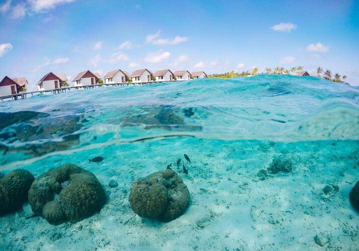 Furaveri Island Resort & Spa