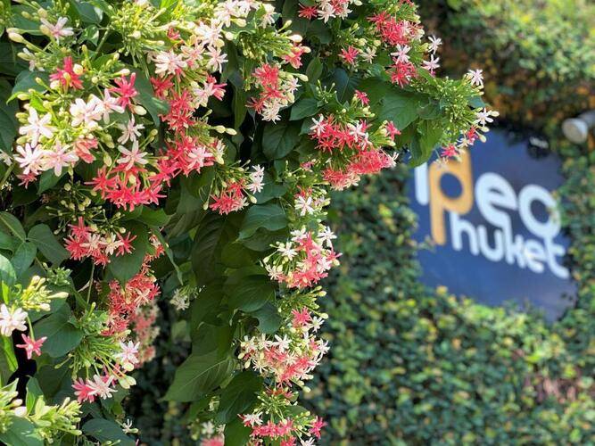 Ideo Phuket Hotel
