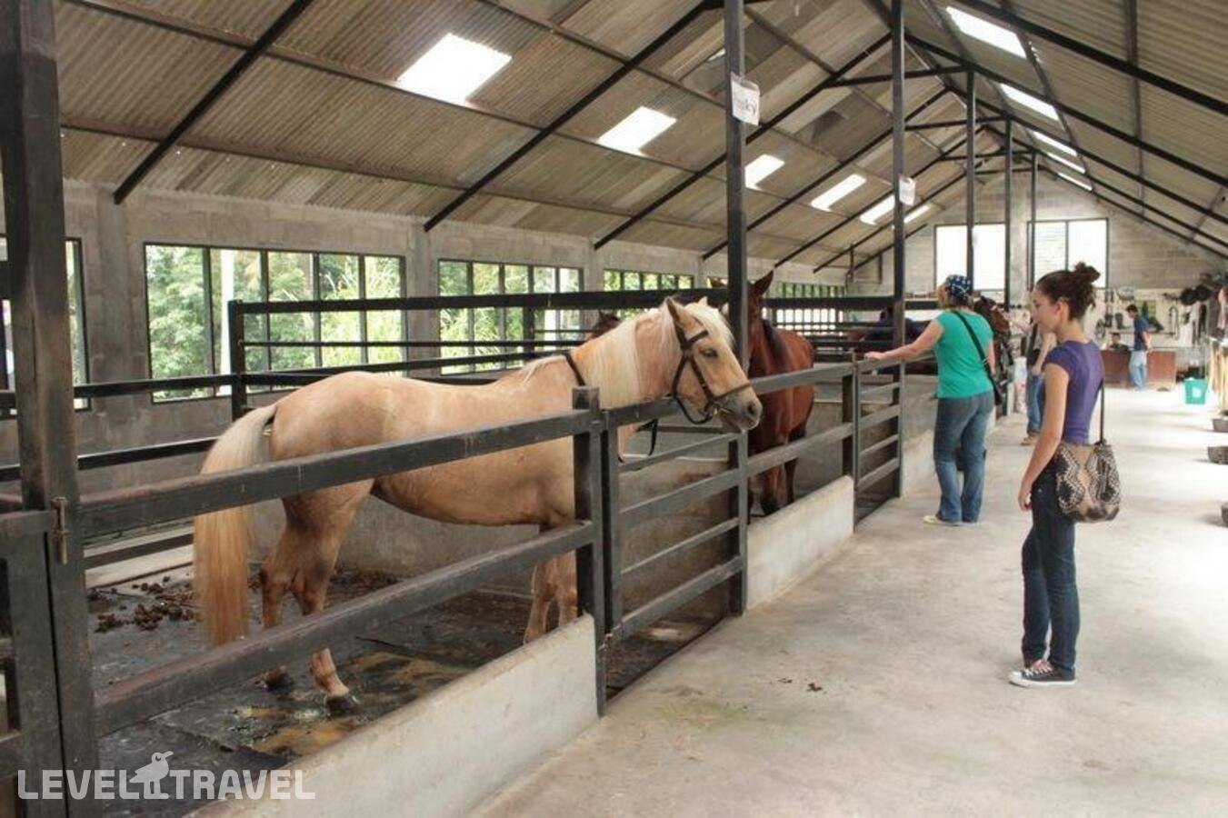 фотографии отеля Ban Raya Resort And Spa в Таиланд(Ко Рача Яй) - фото №23