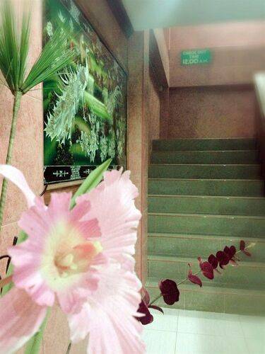 Silla Patong Hostel