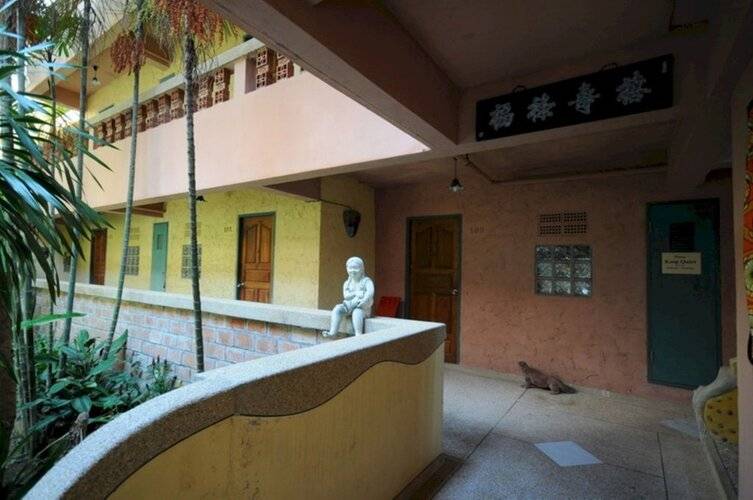 Casa Brazil Homestay & Gallery