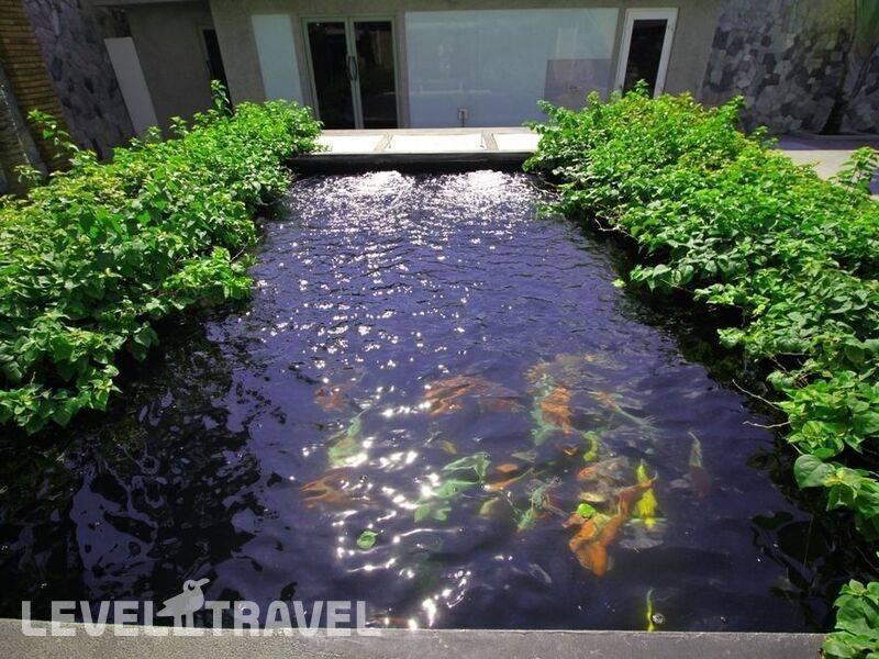 Фотография Pratumnak Dream Villa By Pattaya Sunny Rentals