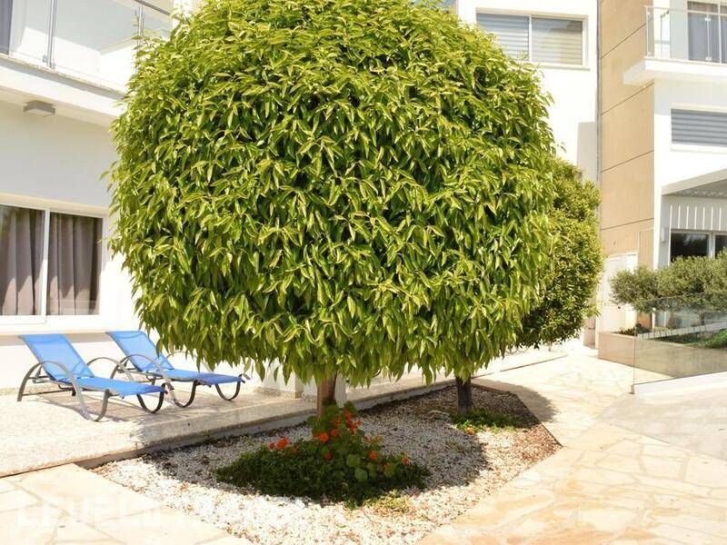 Фотография Fedrania Gardens Hotel