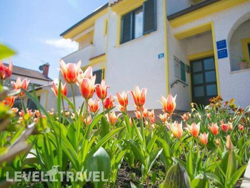 Фотография Matosevic Private Apartment