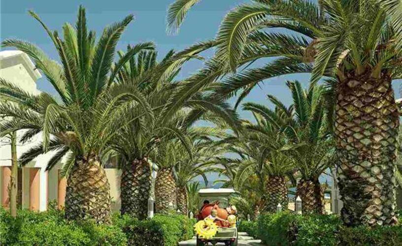 Aldemar Knossos Royal Beach Resort