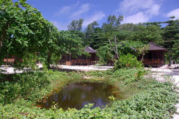 Heliconia Grove