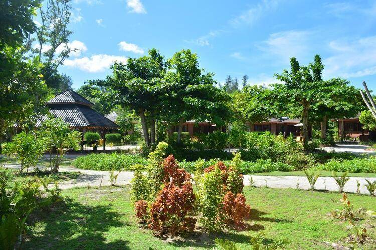 Heliconia Grove