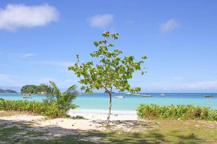 Pirogue Lodge