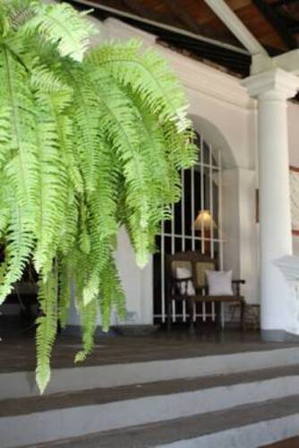Nooit Gedacht Heritage Hotel